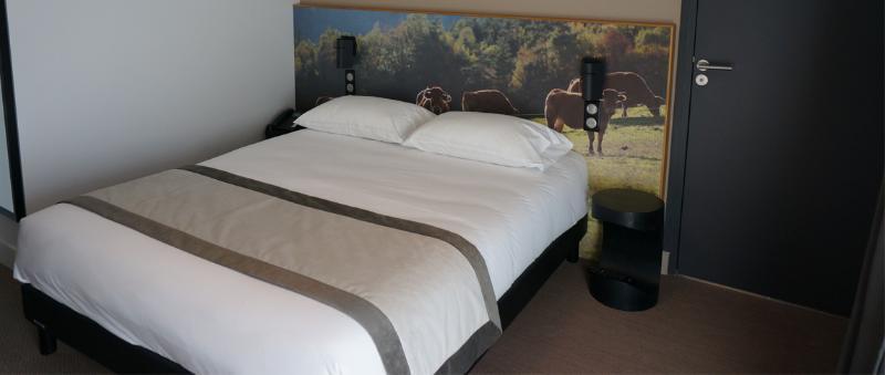 The Originals Relais Hotel Saint-Roch Salzuit Ngoại thất bức ảnh